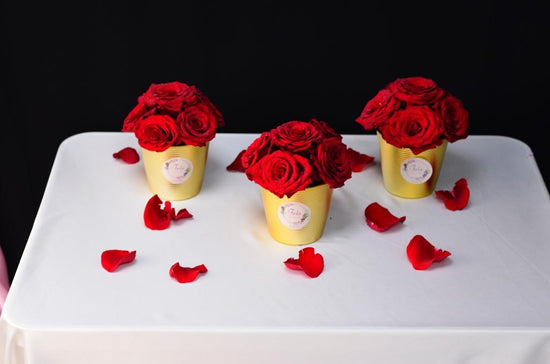 Luxury Red rose