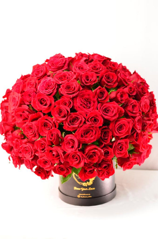 Luxury red rose Box