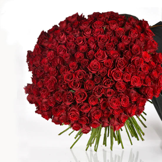 Iris Valentine&