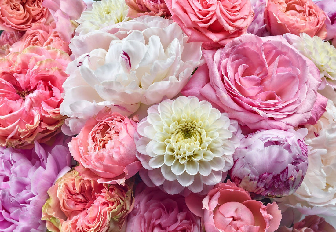 Pink Flowers