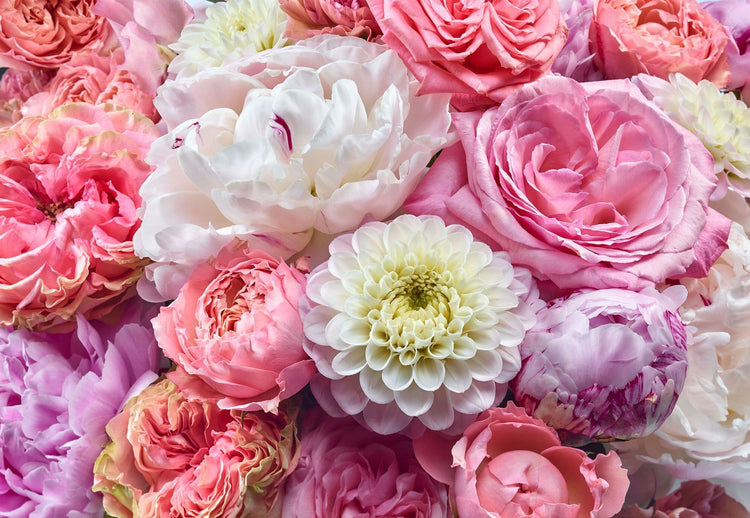 Pink Flowers