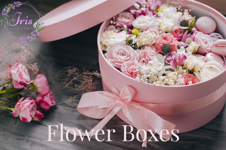 Flower Boxes
