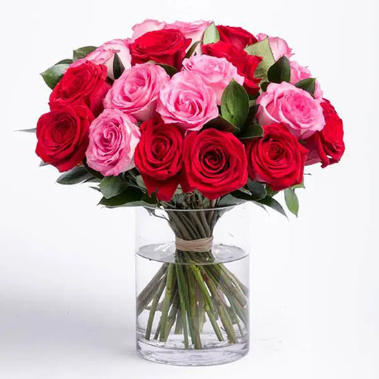 Red and pink rose vase