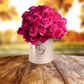 pink Rose Box