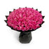 100 Pink Roses Bouquet | Order Online for Any Occasion