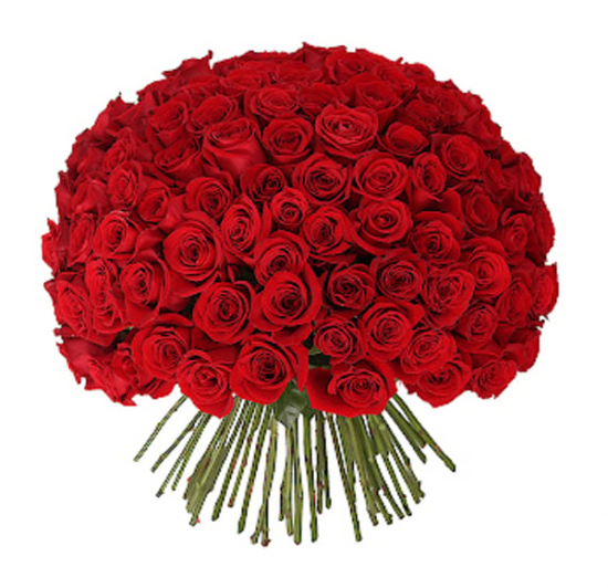 Iris valentines 100 red rose flowers Bouquet
